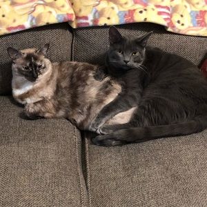 Meet your Posher, Debbie